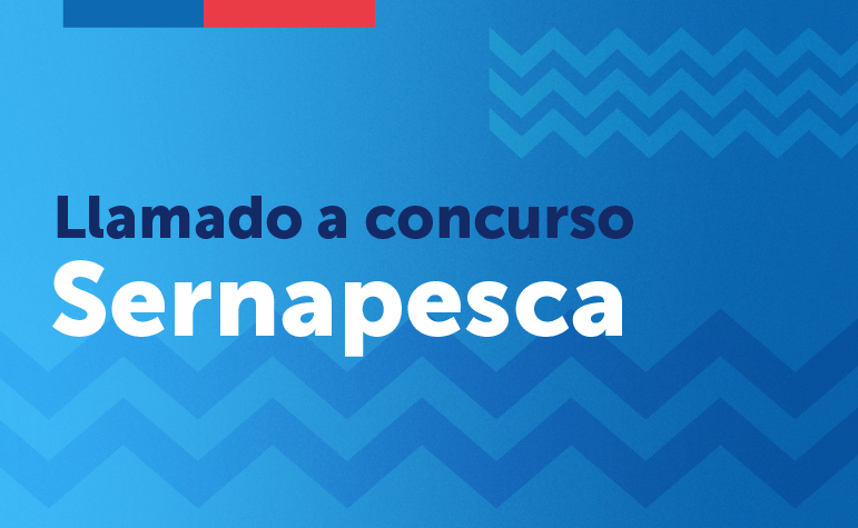 Proceso de selección Sernapesca